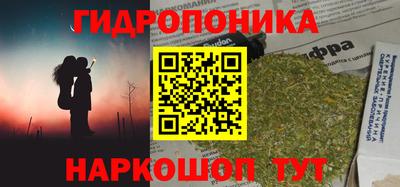 гидра Нальчик